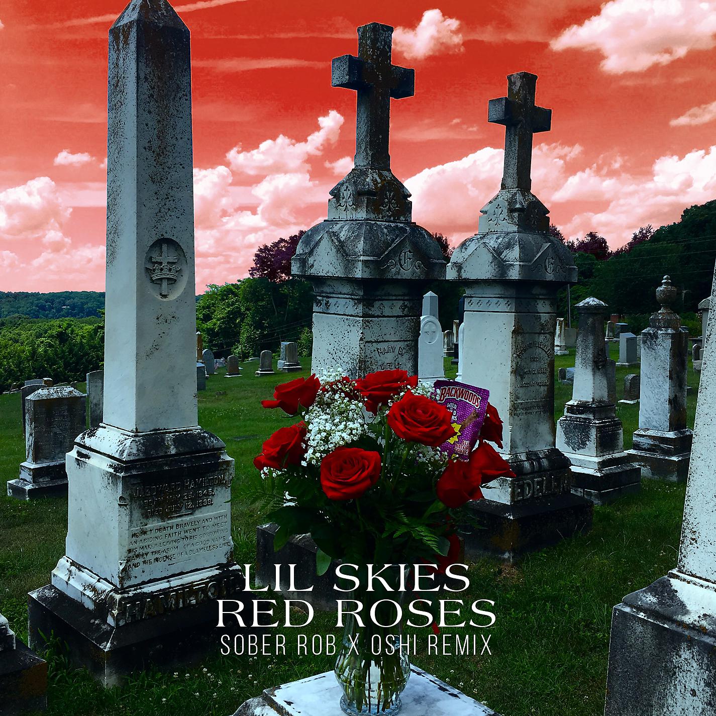 Постер альбома Red Roses (Sober Rob & Oshi Remix)
