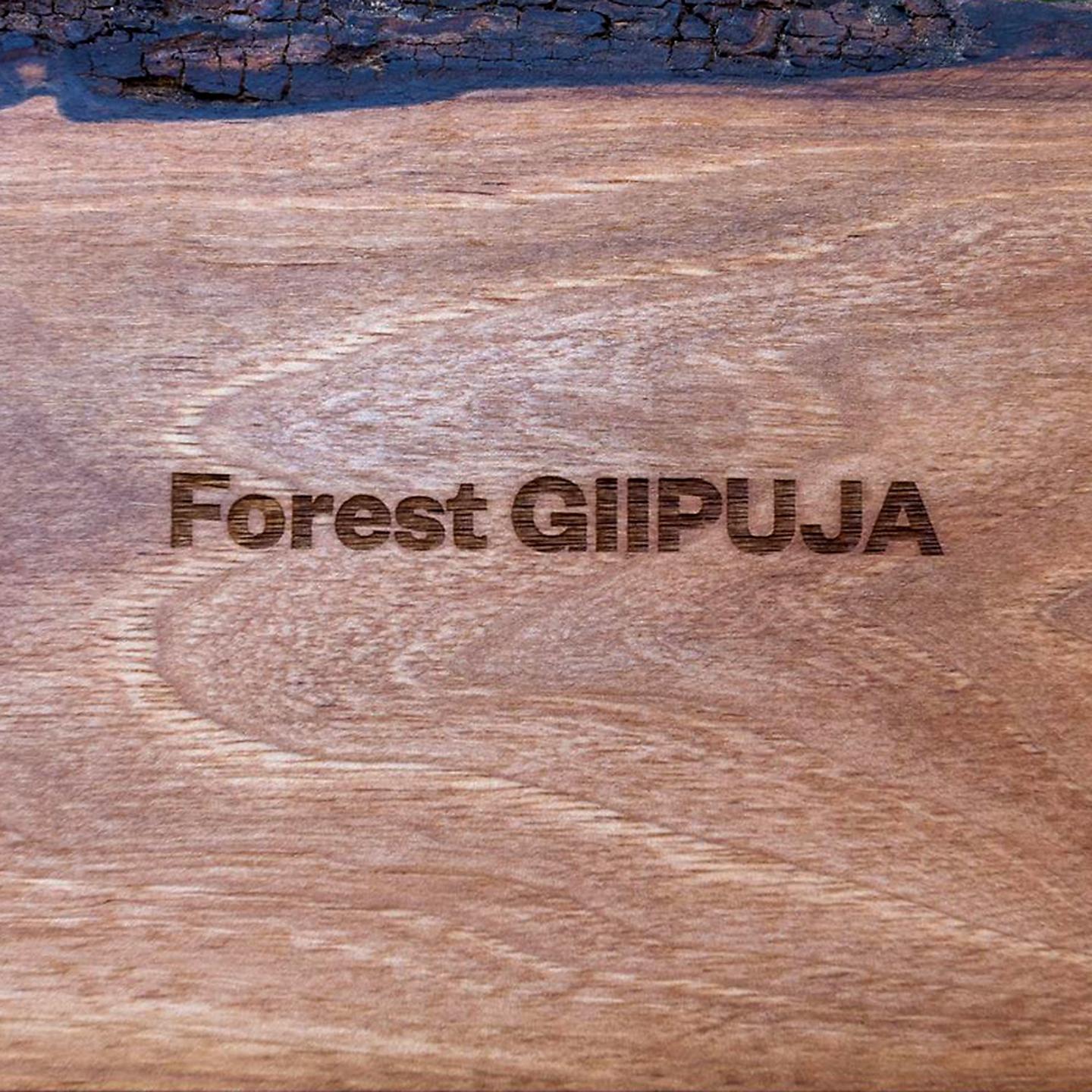 Постер альбома Forest Giipuja
