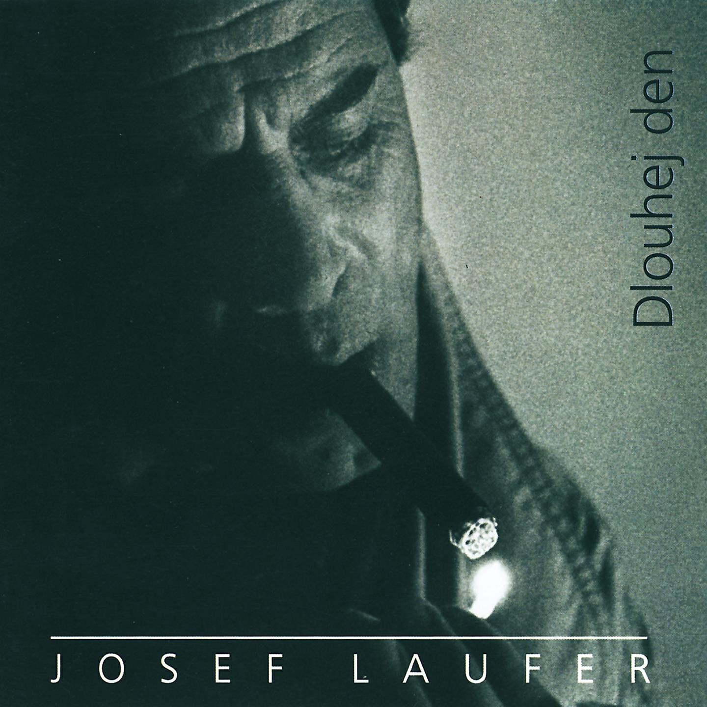 Josef Laufer - Lásko, Lásko, Užil Jsem Tě Málo