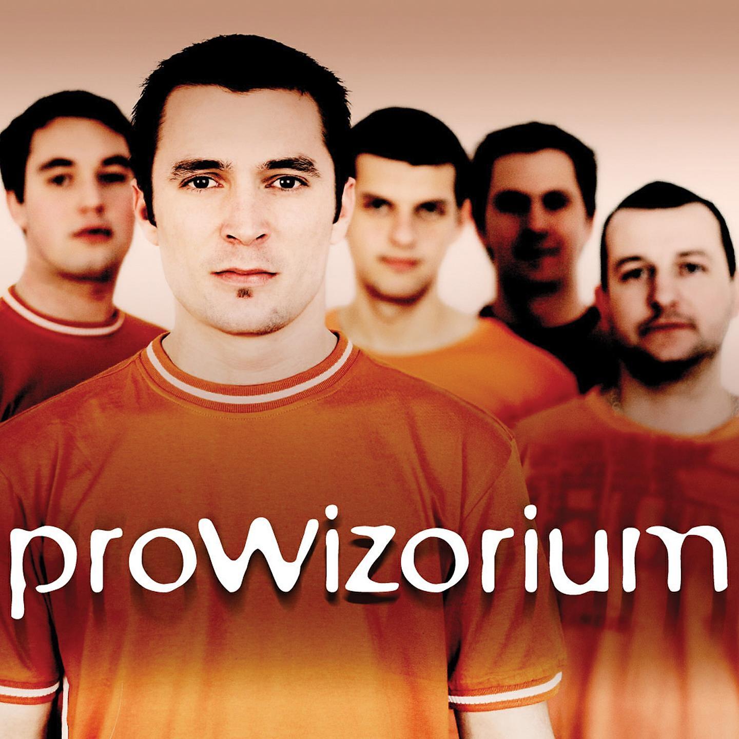 Prowizorium - Ploty