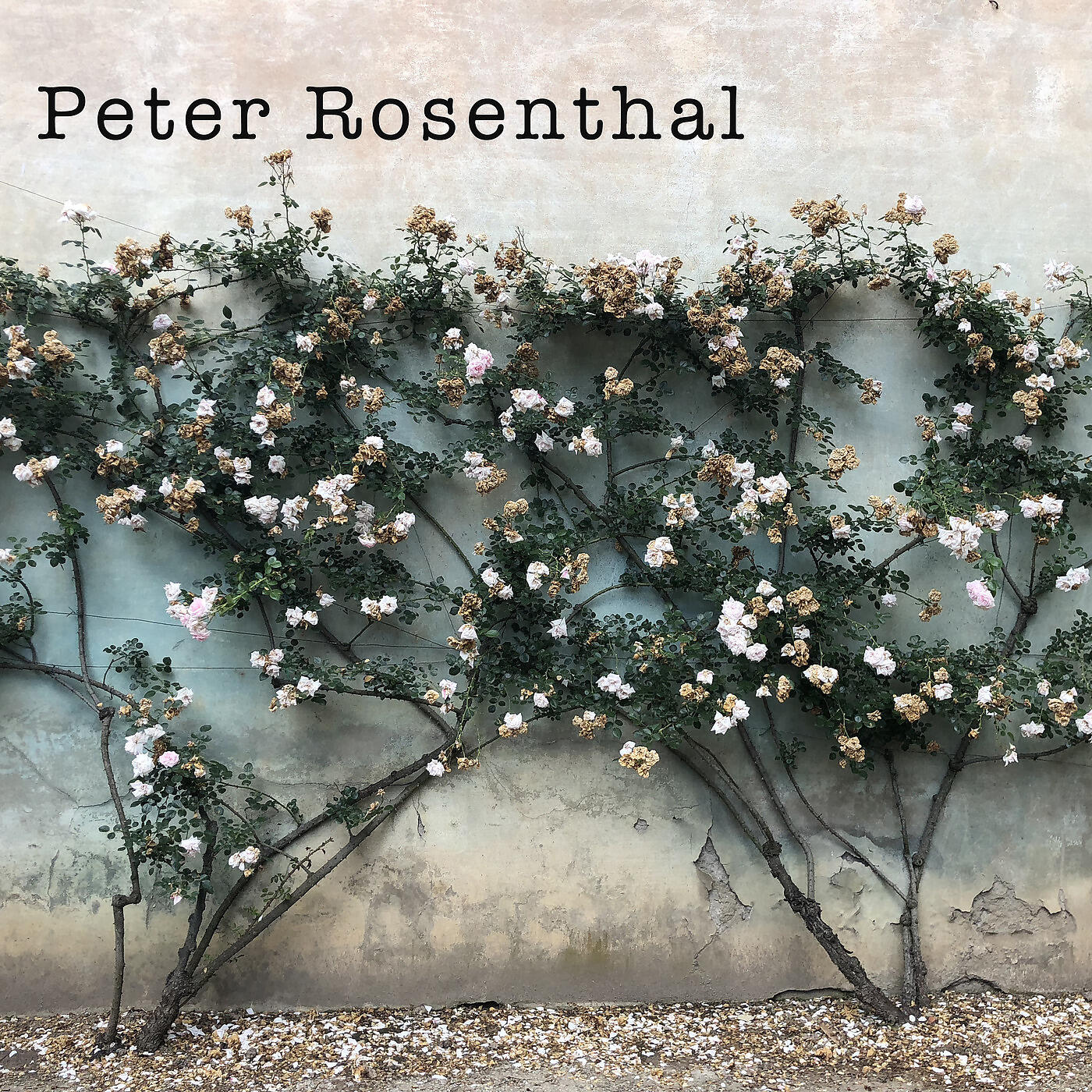 Peter Rosenthal - Man in the Moon