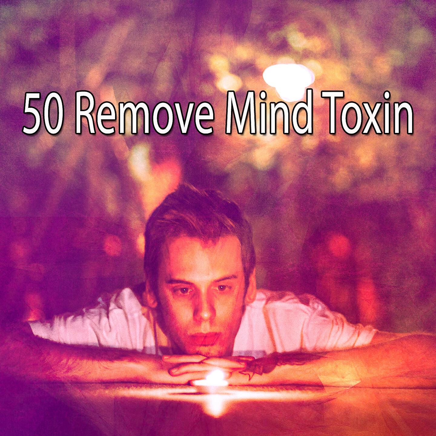 Focus Study Music Academy - The Dawn Chorus of Binaural Beats