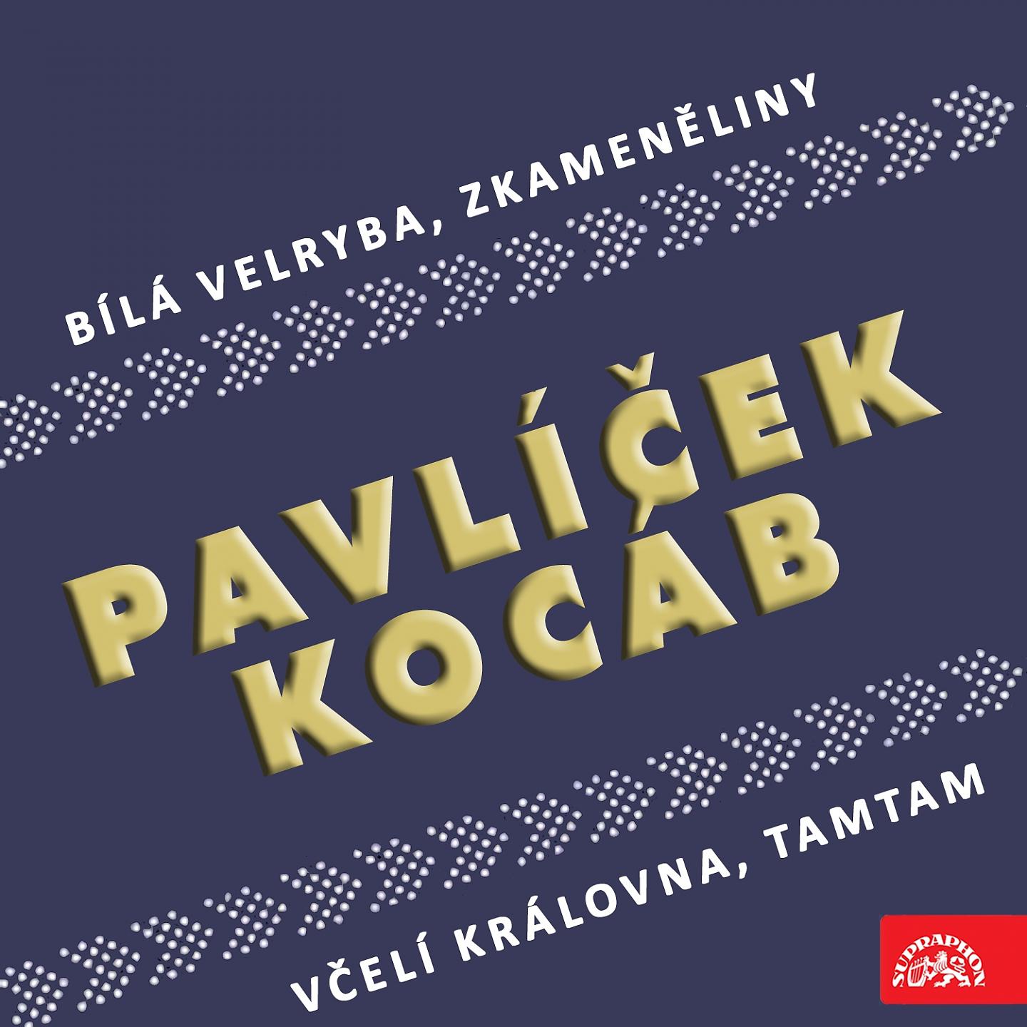 Постер альбома Pavlíček, Kocáb