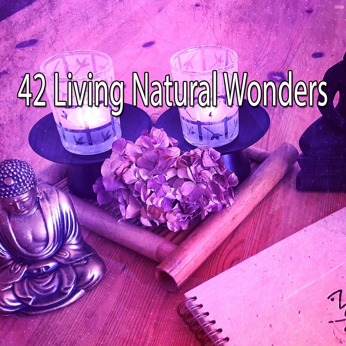 Asian Zen Spa Music Meditation - Garden Of Peace and Nature