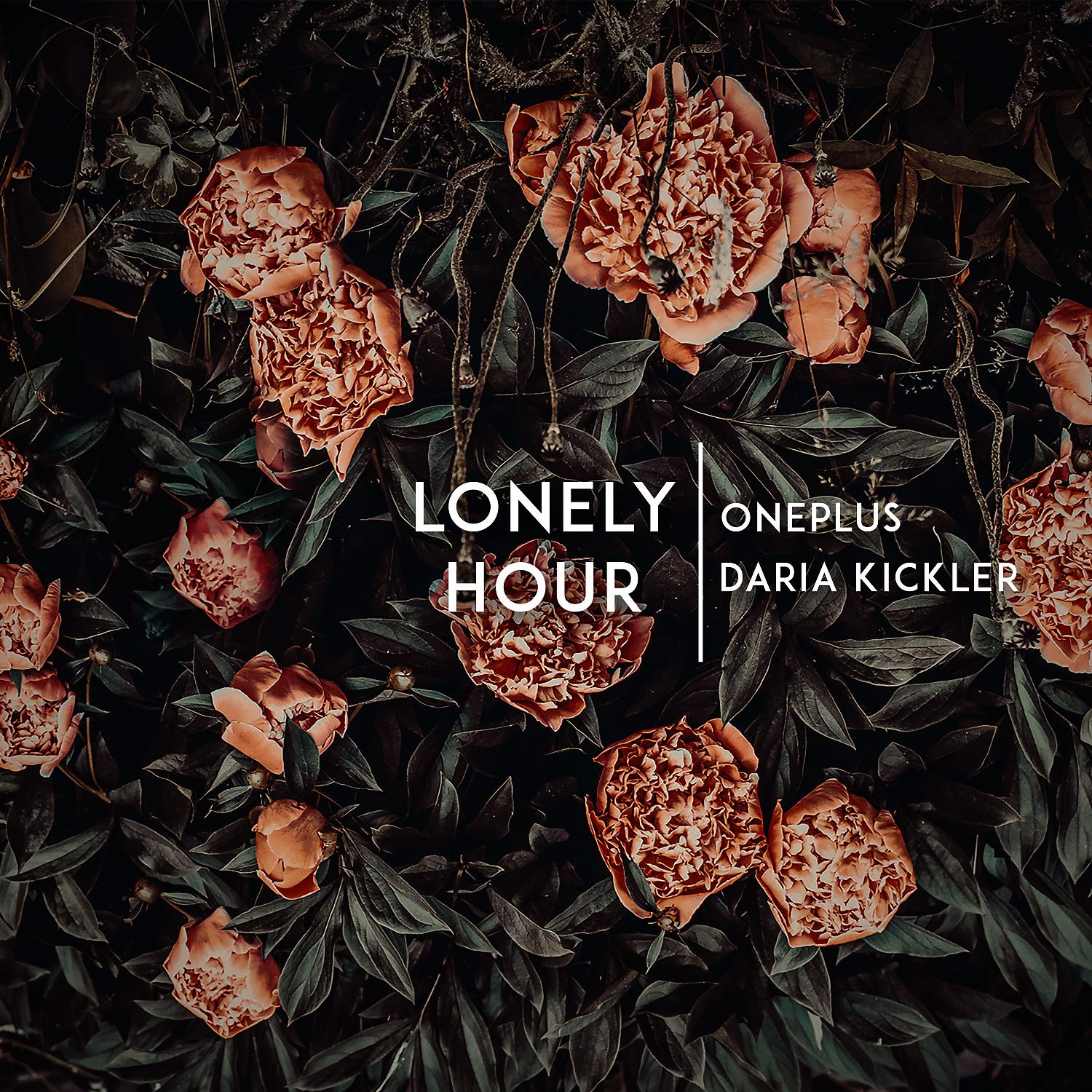 Постер альбома Lonely Hour