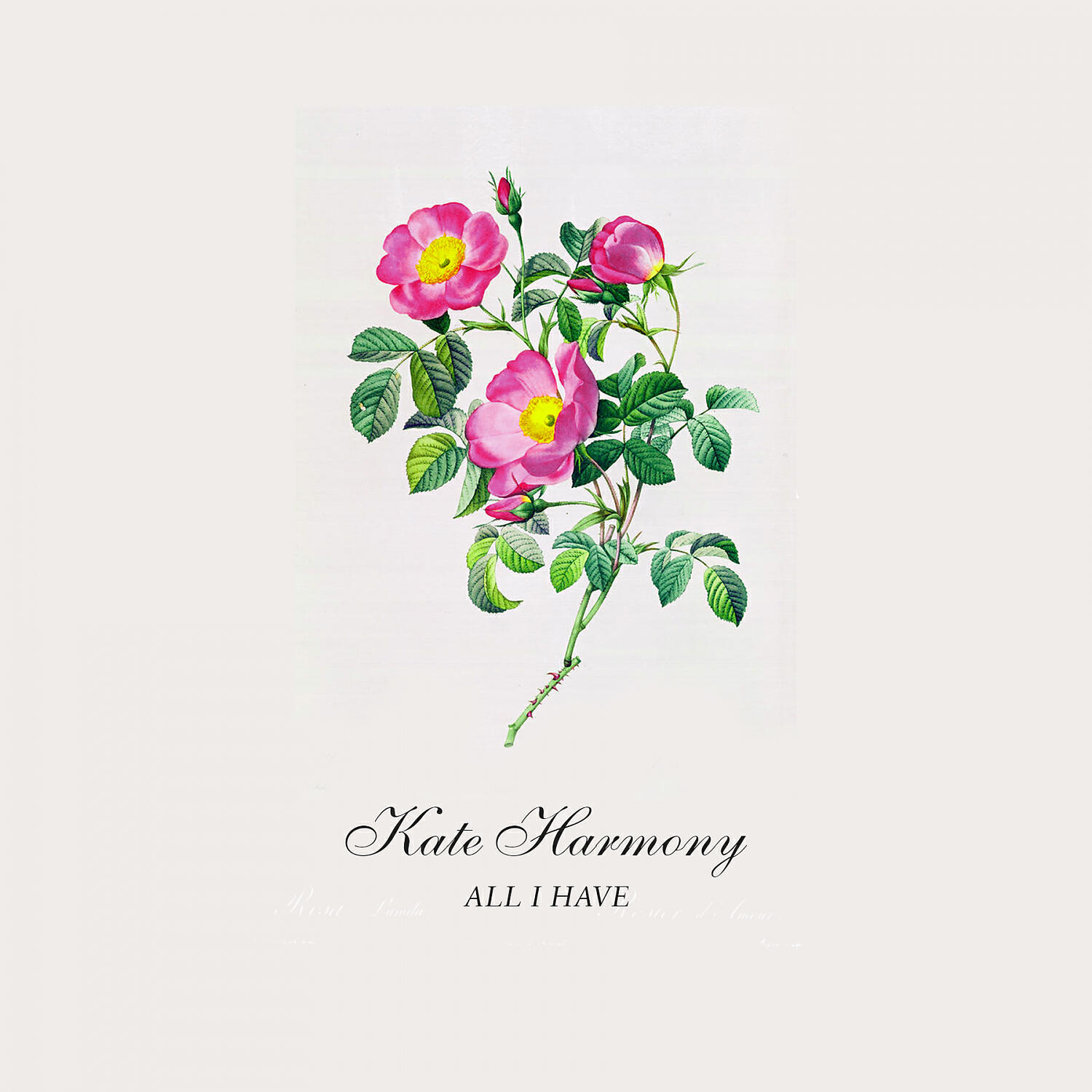 Kate Harmony - All I Have