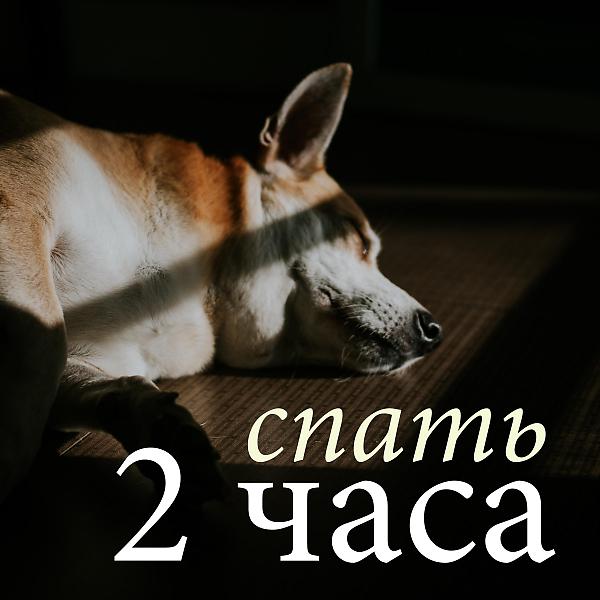 Детские сна Звезда - Музыка перед сном