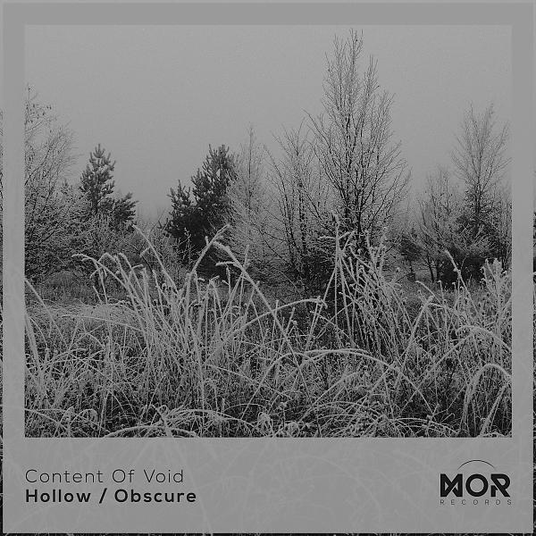 Постер альбома Hollow / Obscure
