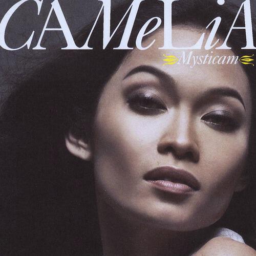 CAMELIA - Seiring Sejalan (Remixed by DJ Romy Jakarta)