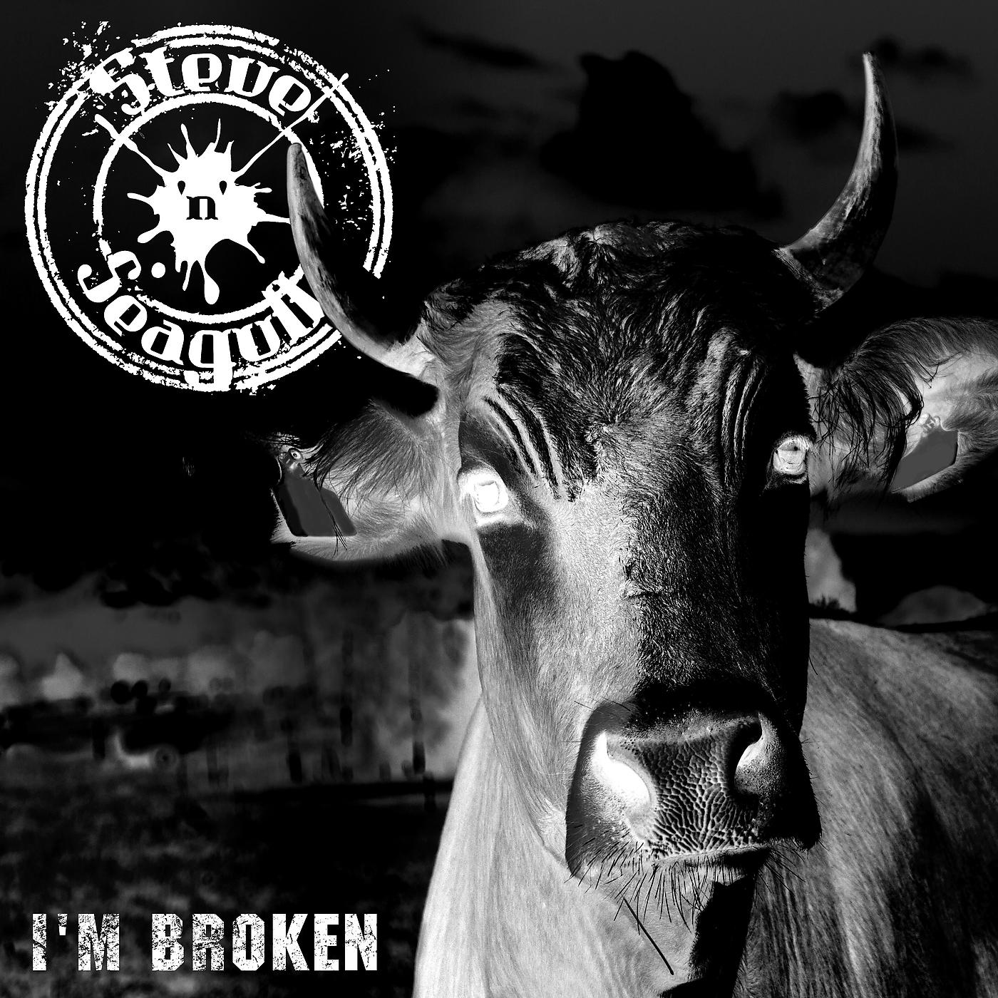 Постер альбома I´m Broken