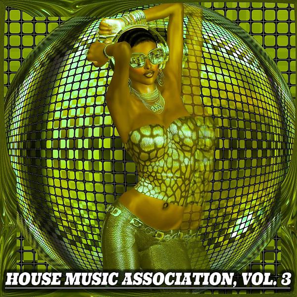 Постер альбома House Music Association, Vol.3