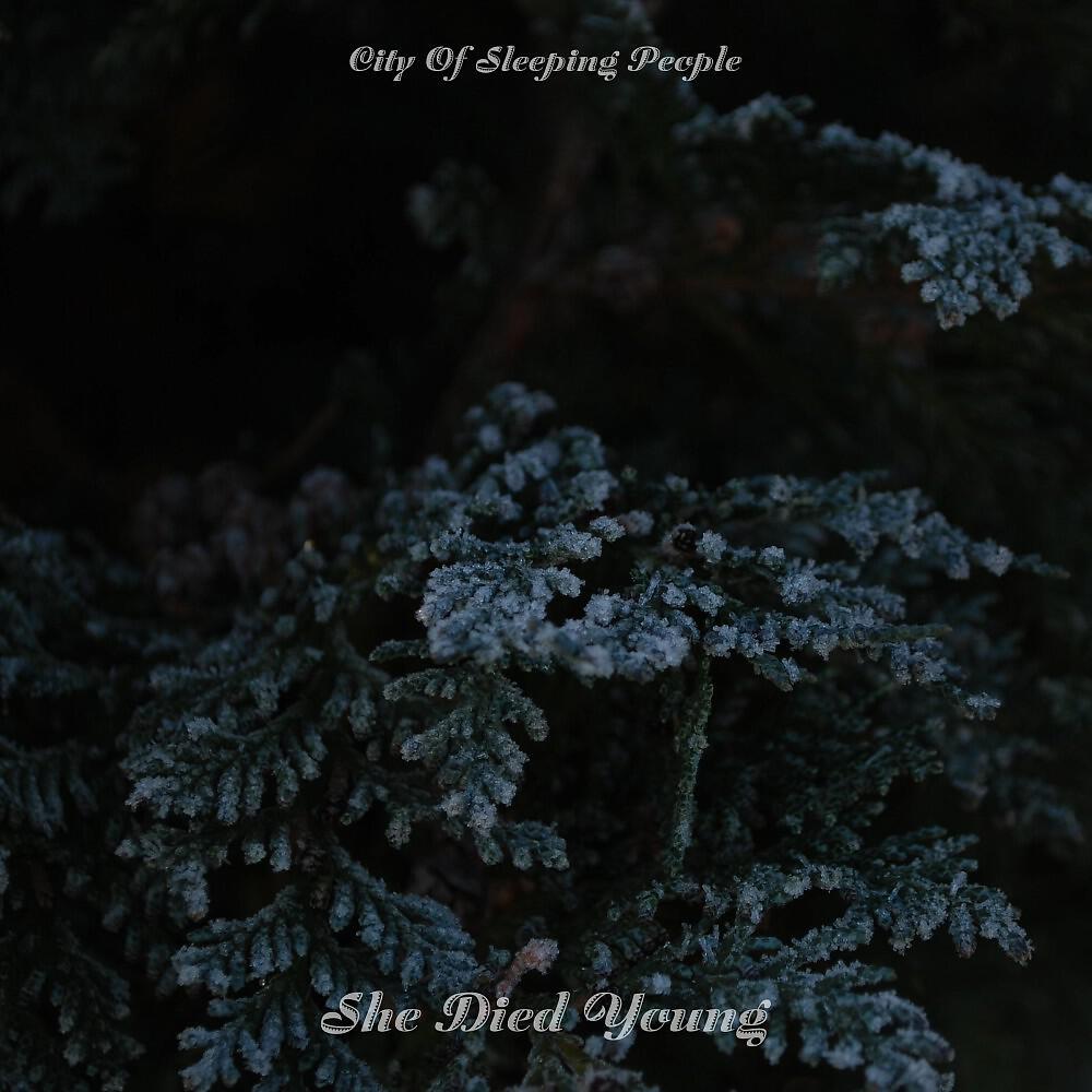 City Of Sleeping People - Suicide Hotline