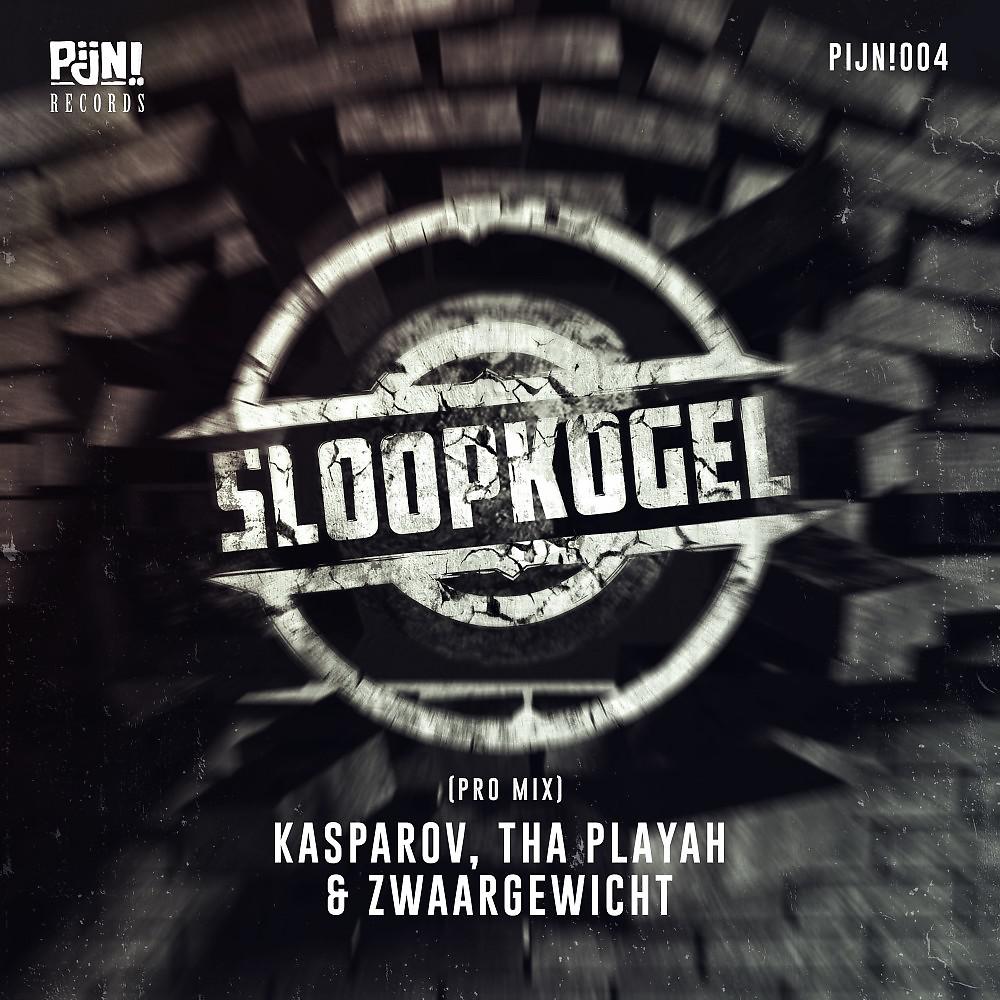 Постер альбома Sloopkogel (Pro Mix)