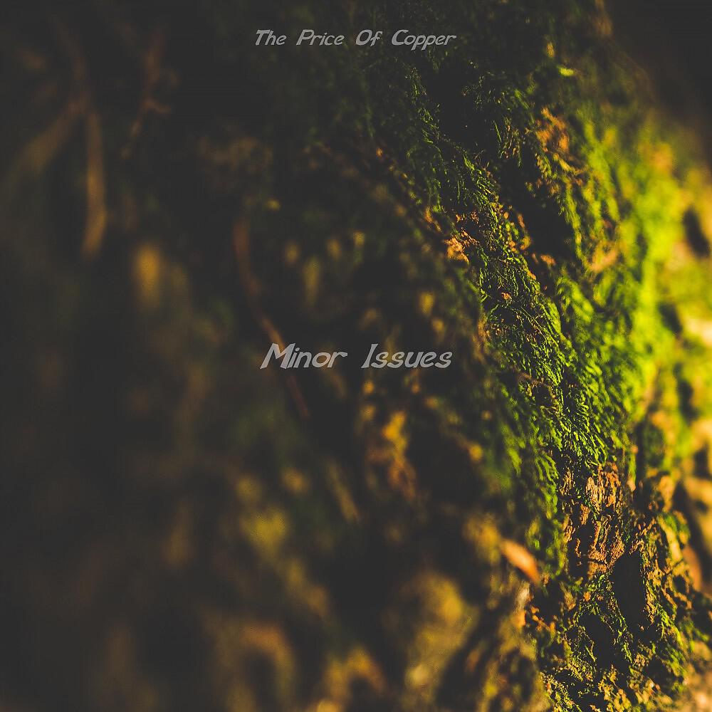 The Price Of Copper - Ultrasound