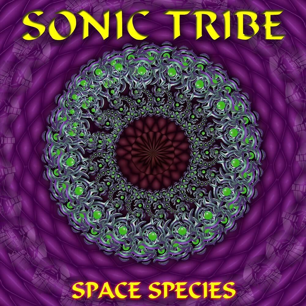 SonicTribe - Altruism (Original Mix)