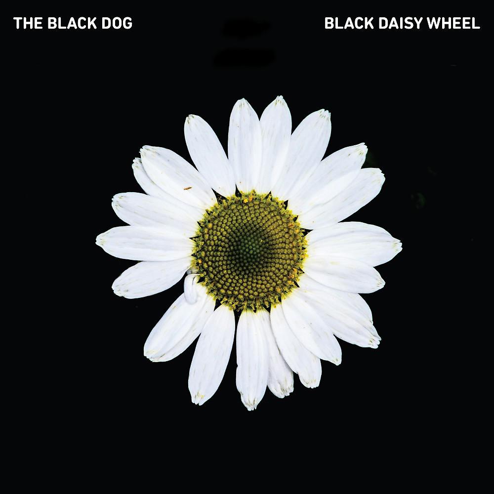 Постер альбома Black Daisy Wheel