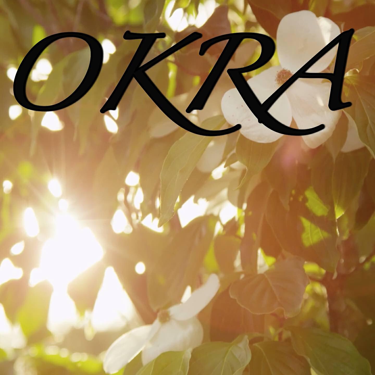 2018 Dj Moodz - Okra / Tribute to Tyler the Creator (Instrumental Version)