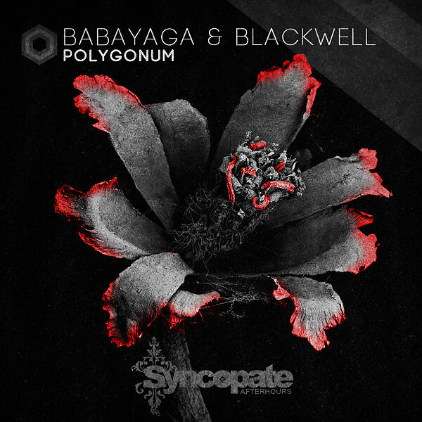 Miss Babayaga DJ - Polygonum (Original Mix)