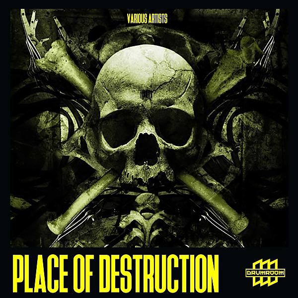 Постер альбома Place of Destruction