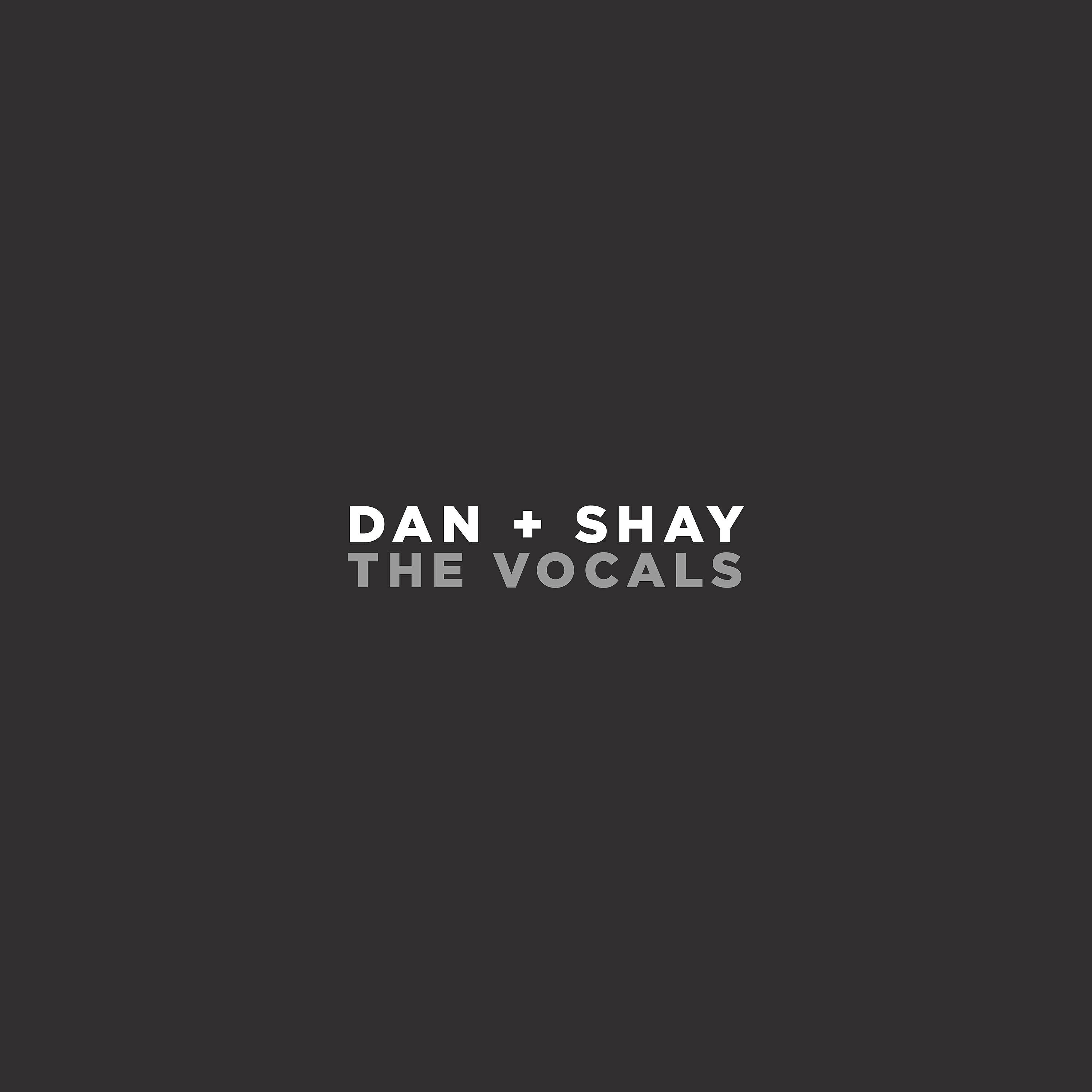 Dan + Shay - Speechless (The Vocals)