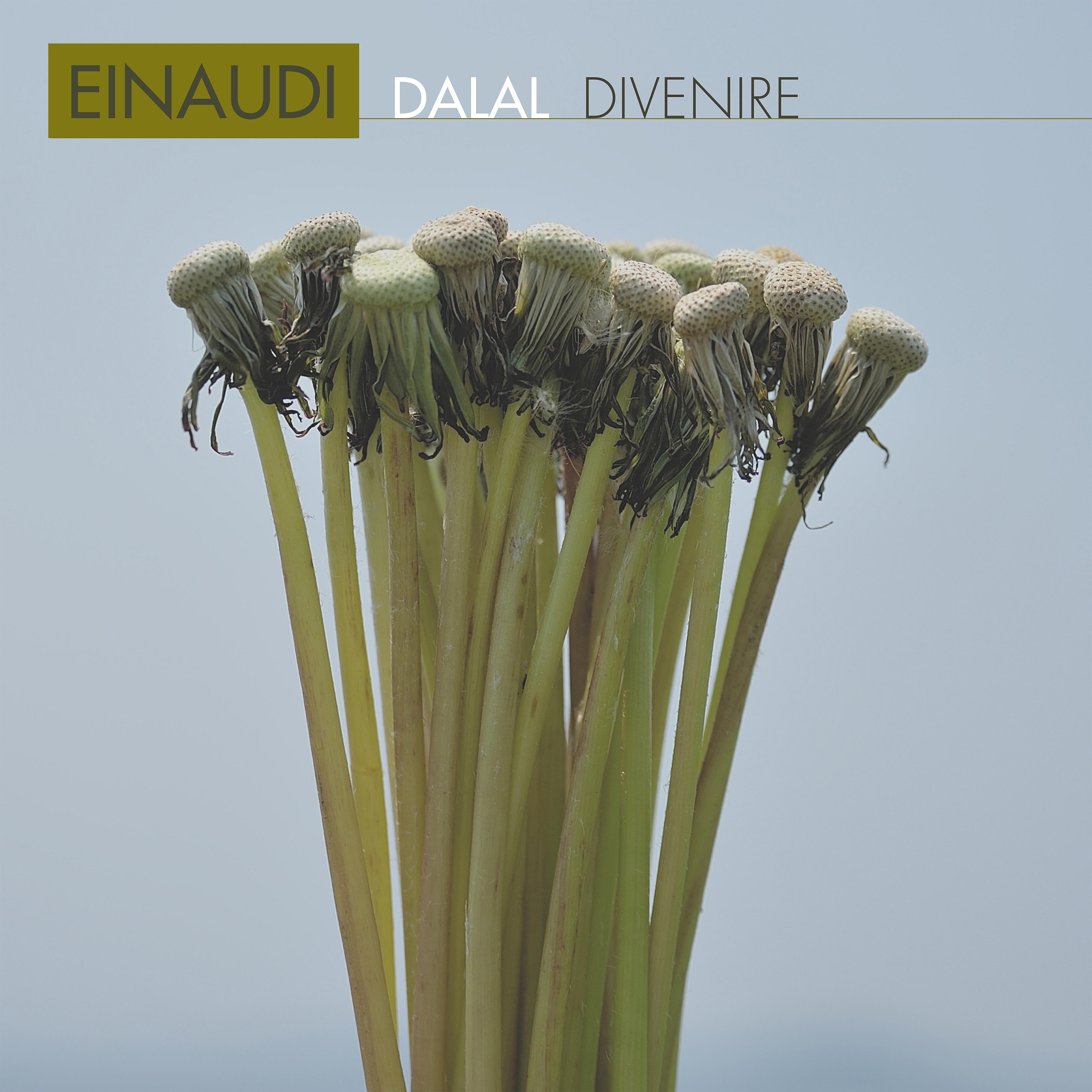 Постер альбома Einaudi: Divenire