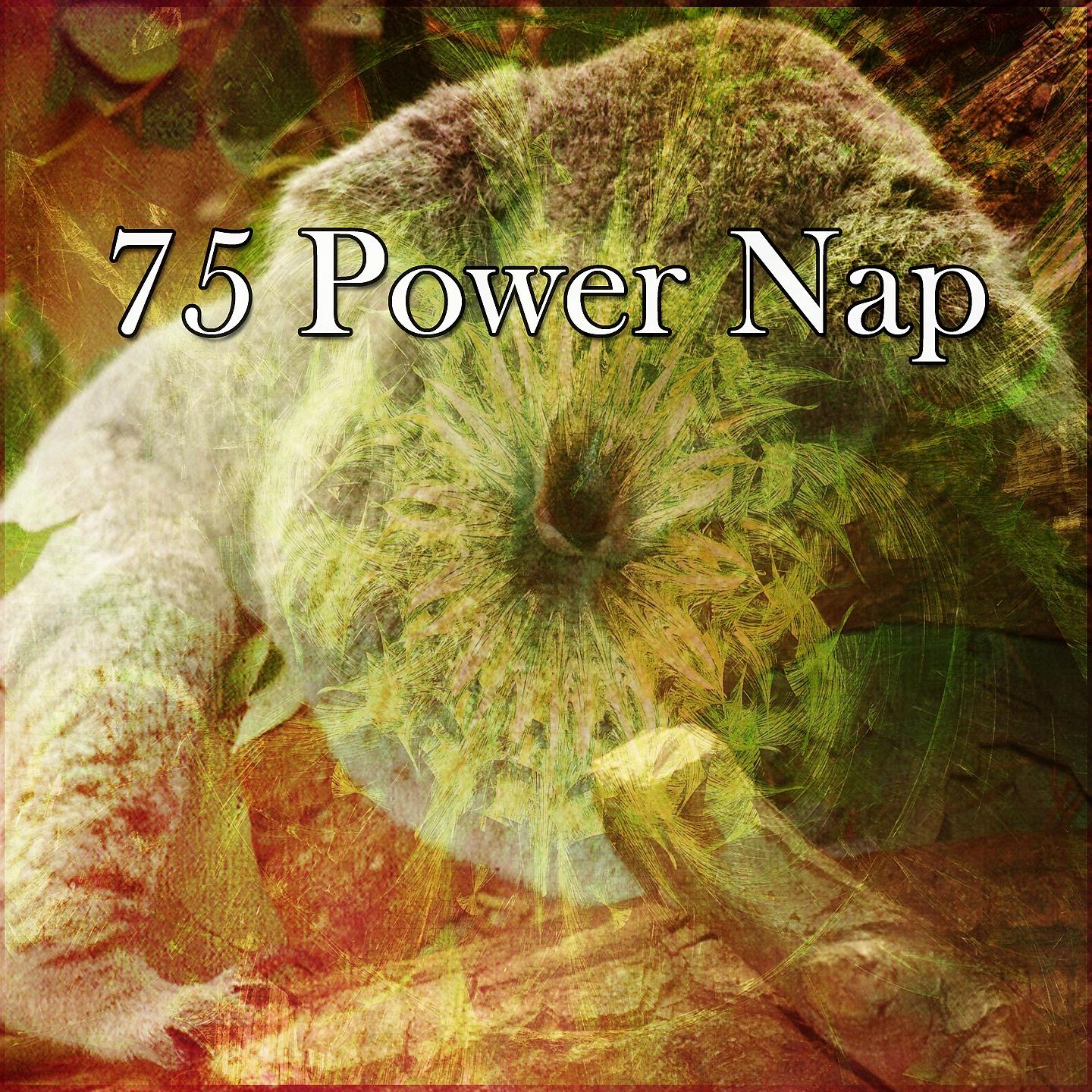 Постер альбома 75 Power Nap