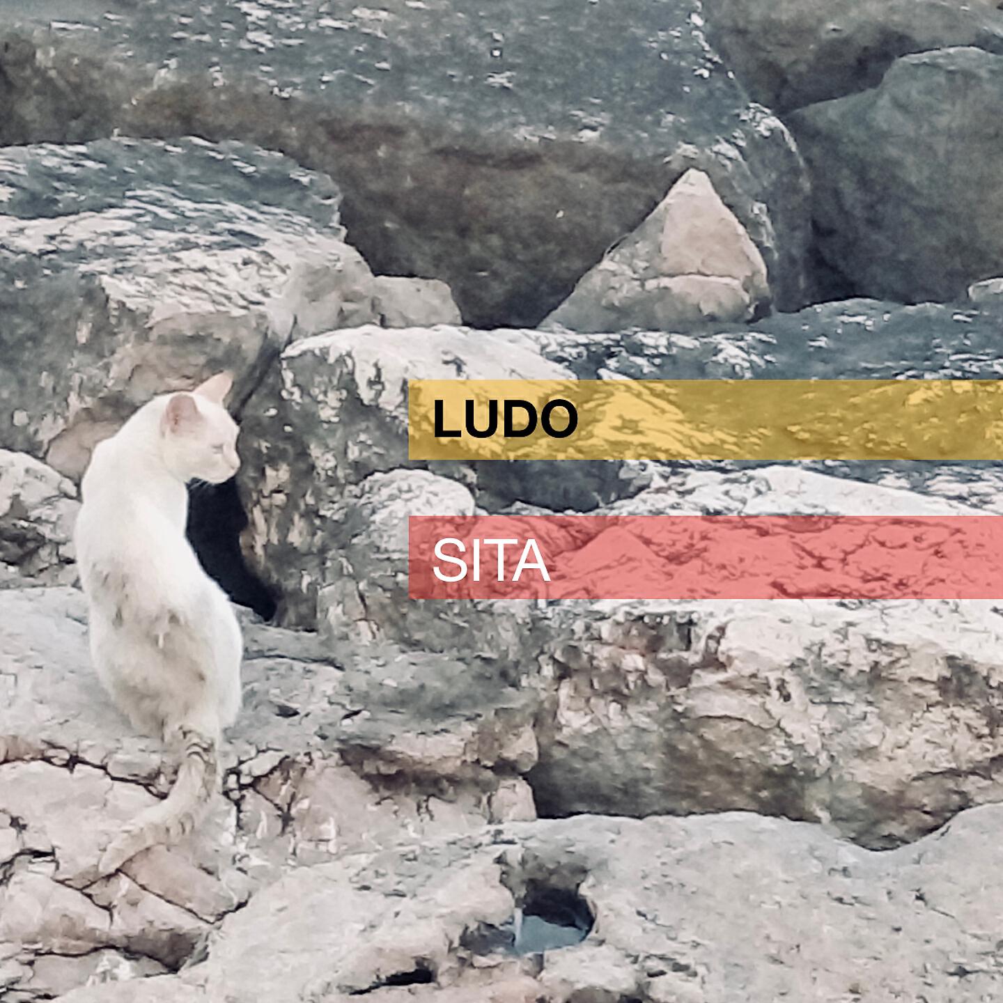 Ludo - Sita