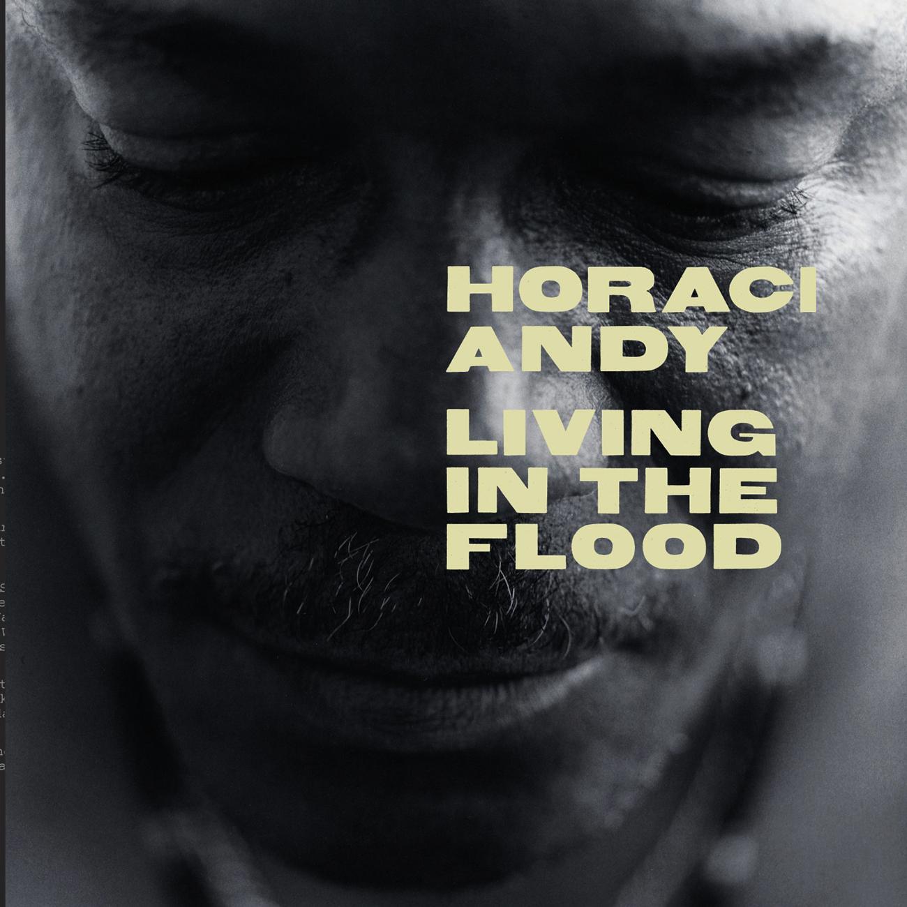 Постер альбома Living In The Flood