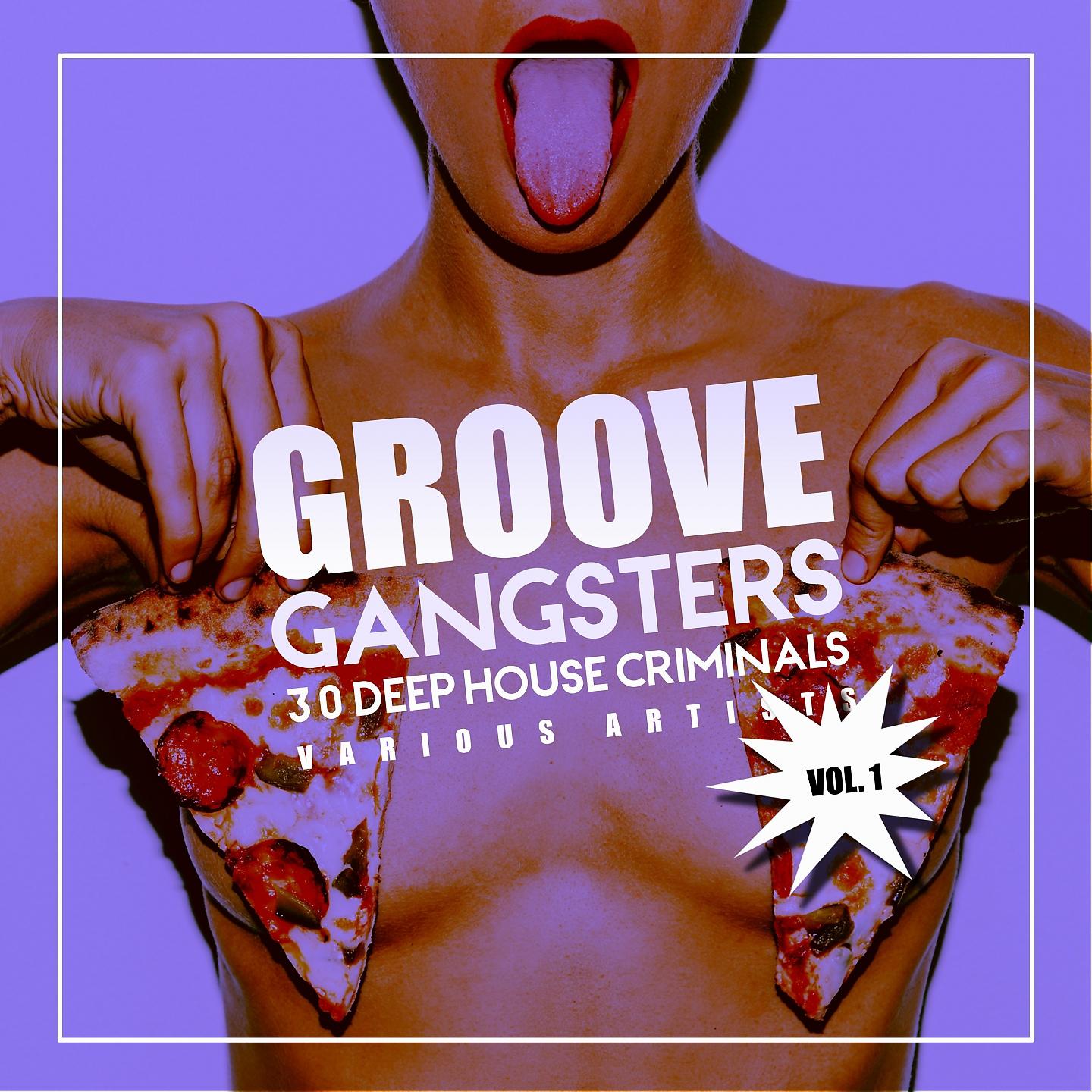Постер альбома Groove Gangsters, Vol. 1 (30 Deep-House Criminals)
