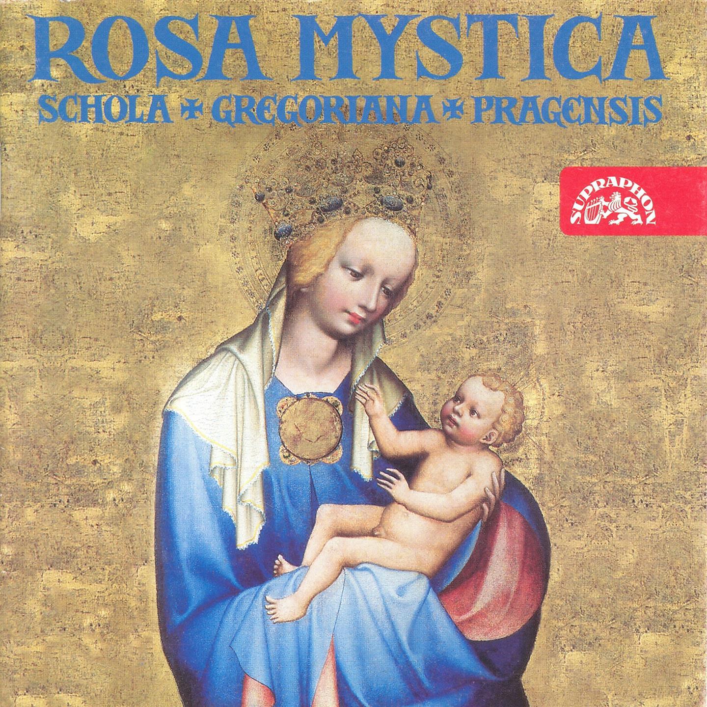 Постер альбома Rosa mystica