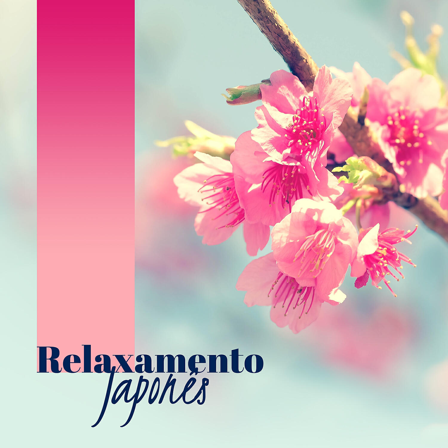 Massagem Coleção de Músicas - Exercícios de Respiração