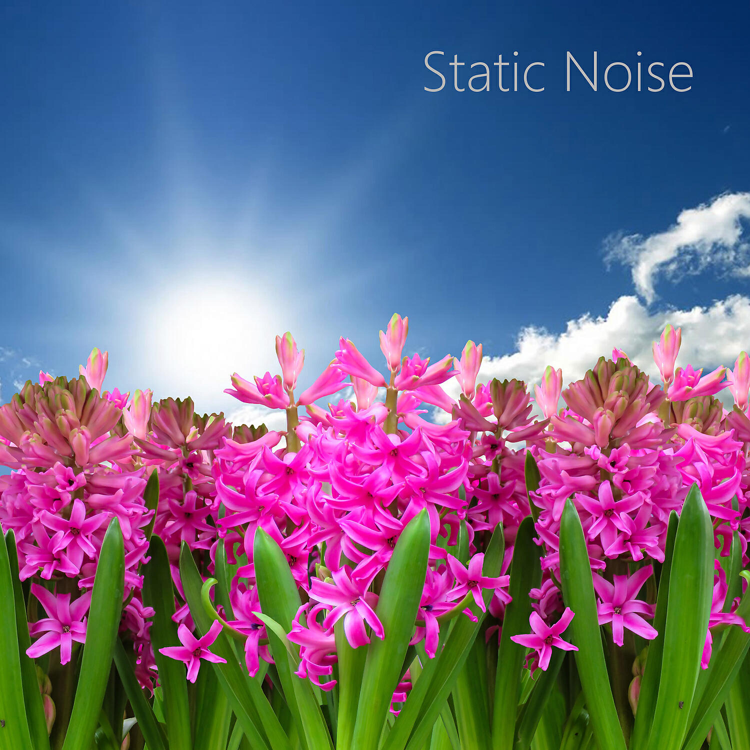 Static Noise - Static Noise Sound Looped feat. Static Noise Sound