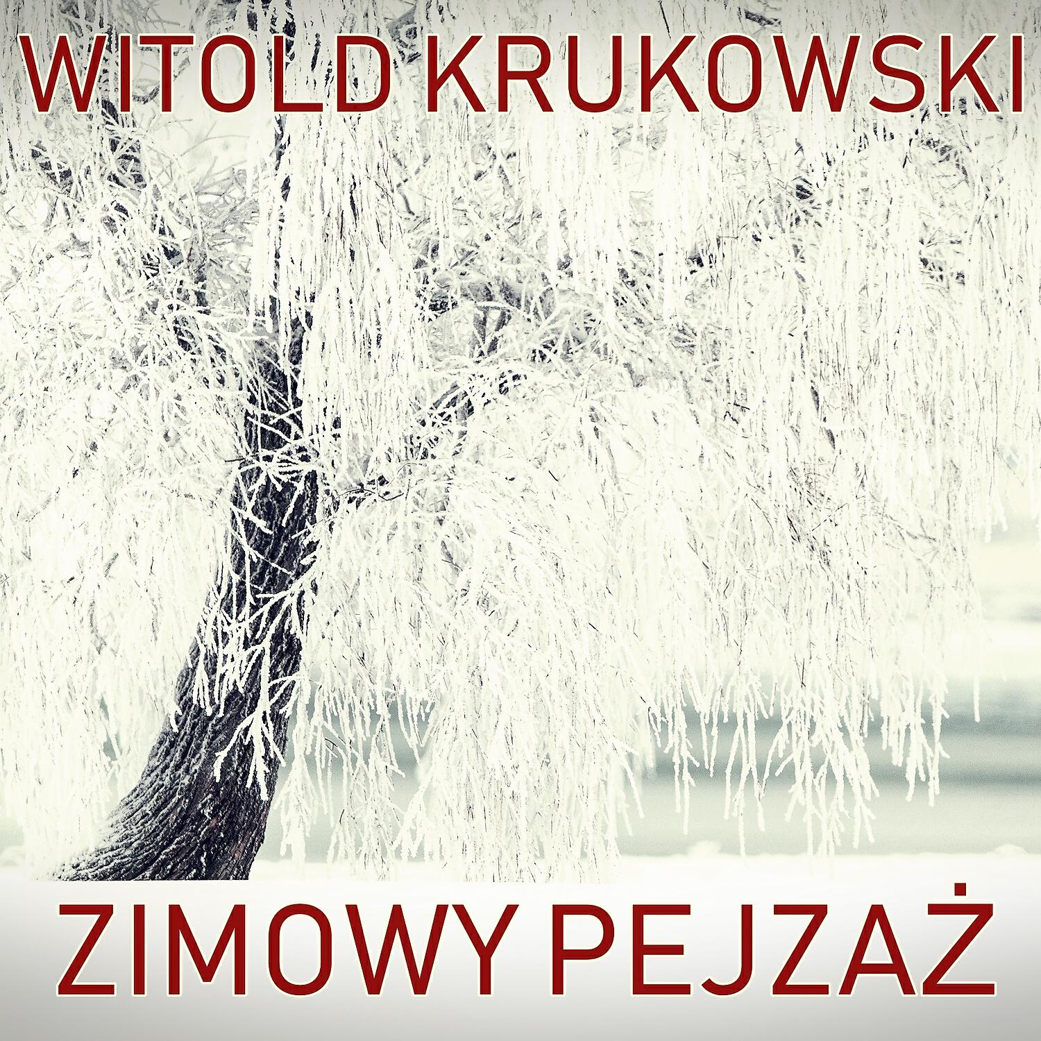 Witold Krukowski - Zimowy Pejzaz (Instrumental)