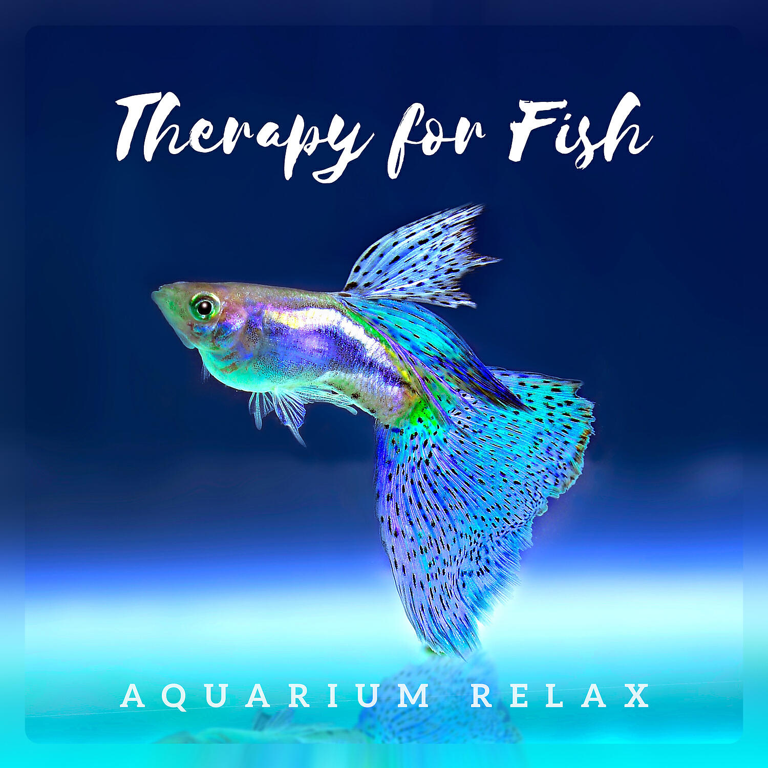 Pet Relax Academy - Oasis of Positive Energy
