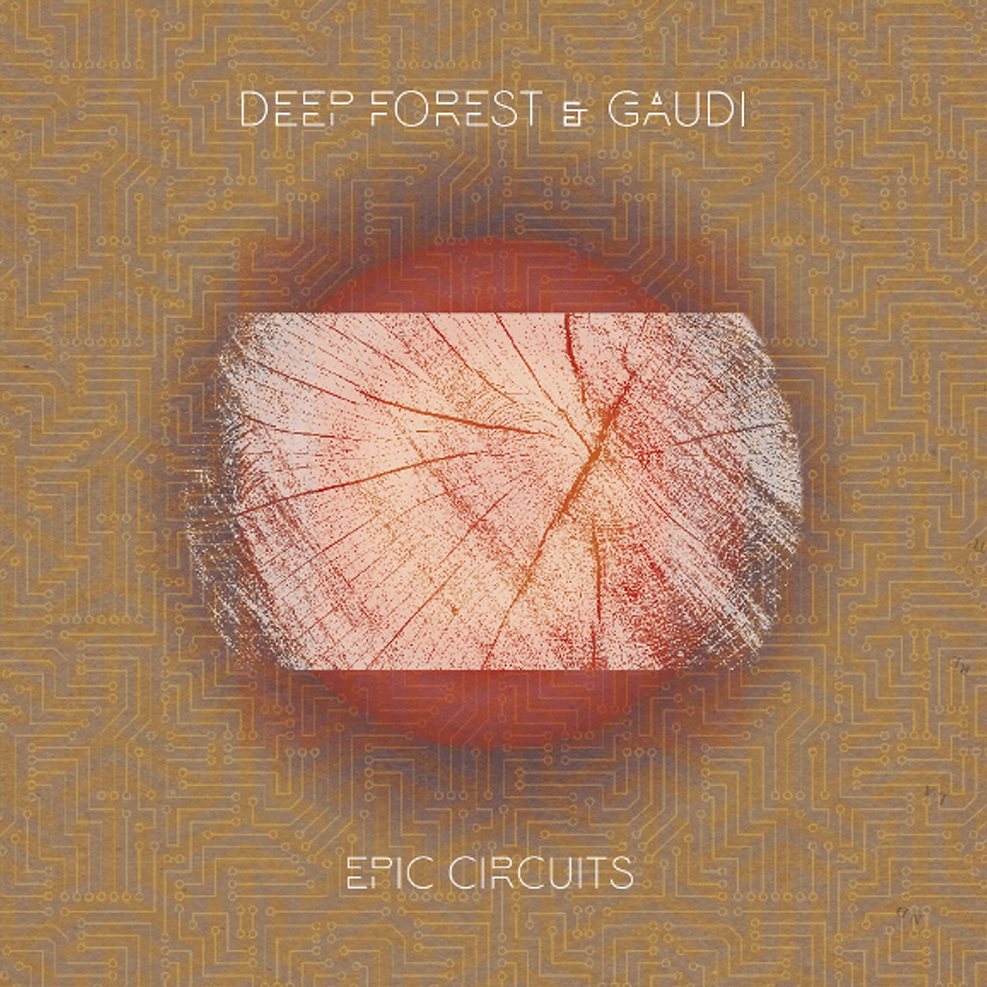 Постер альбома Epic Circuits