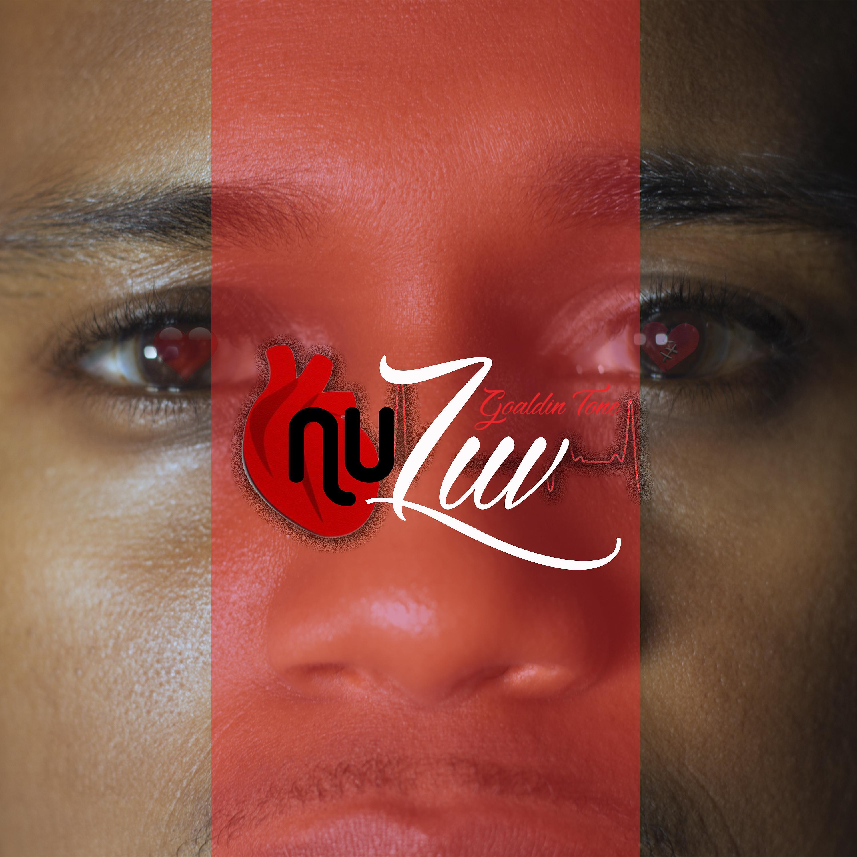 Постер альбома Nu Luv