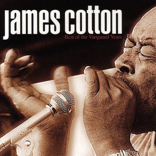 James Cotton - River's Invitation