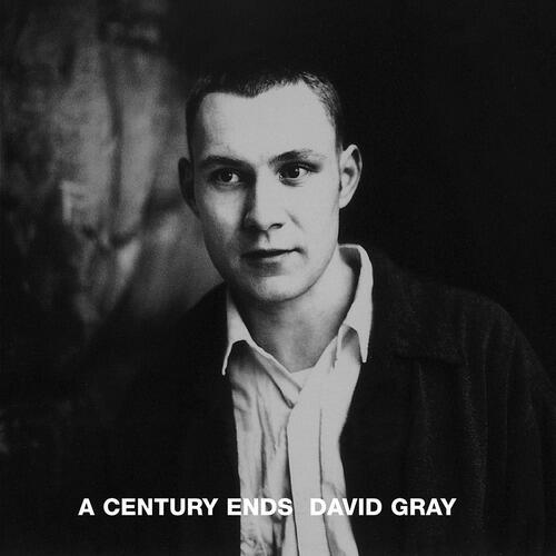 David Gray - Living Room