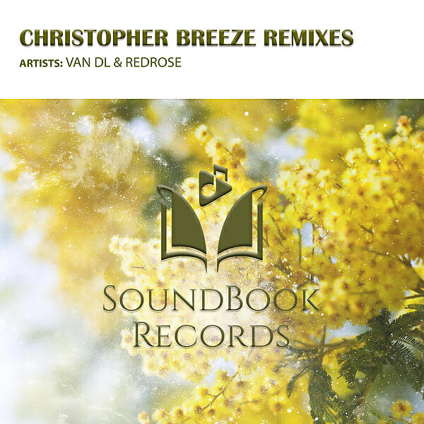 VAN DL - Arabesque (Christopher Breeze Cut)