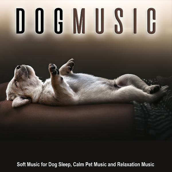 Постер альбома Dog Music: Soft Music for Dog Sleep, Calm Pet Music and Relaxation Music