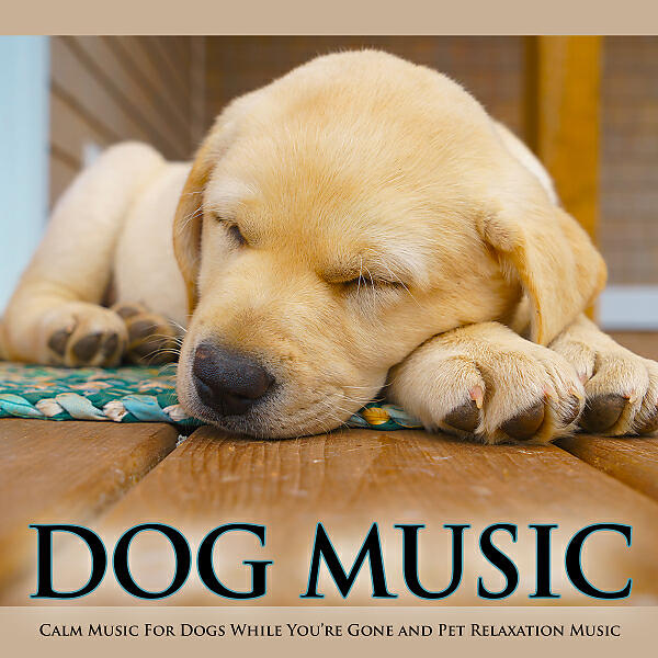 Dog Music - Calm Dog Music