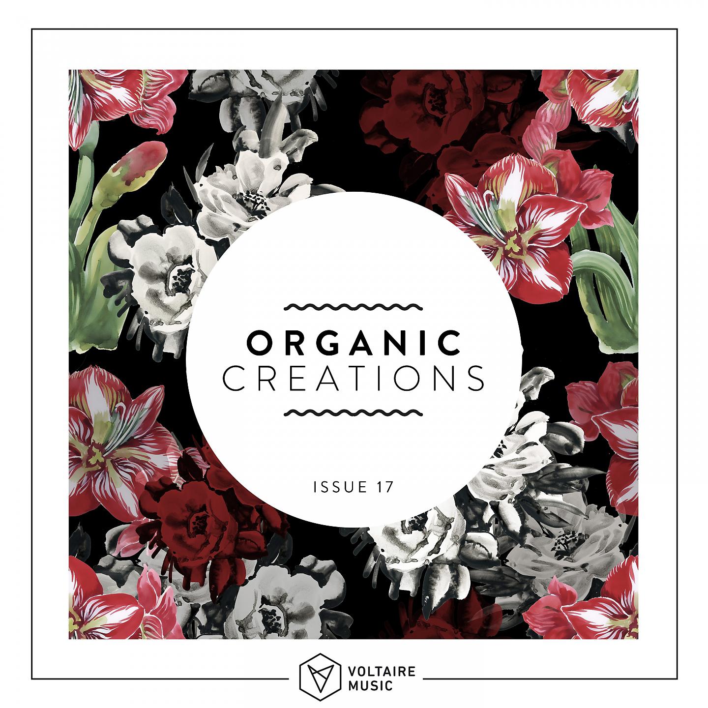 Постер альбома Organic Creations Issue 17