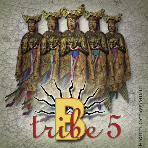 B-Tribe - Anika