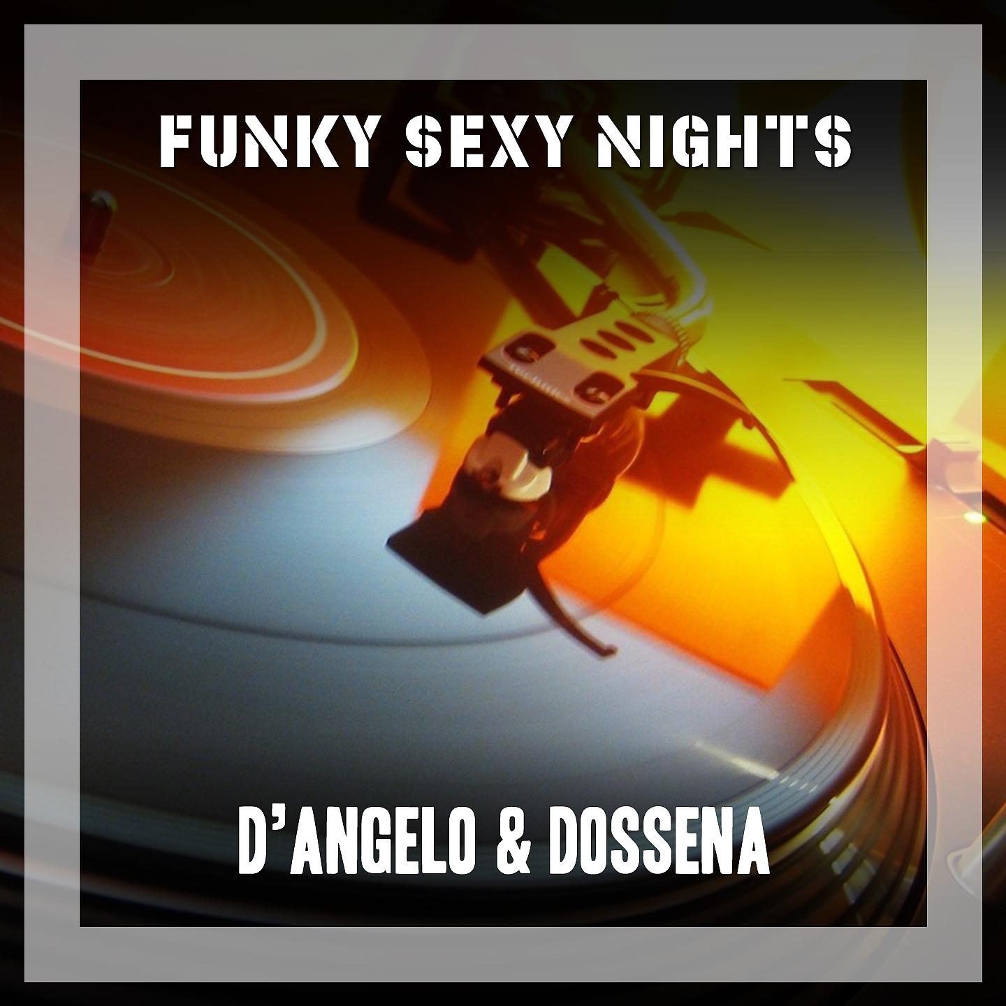Постер альбома Funky Sexy Nights
