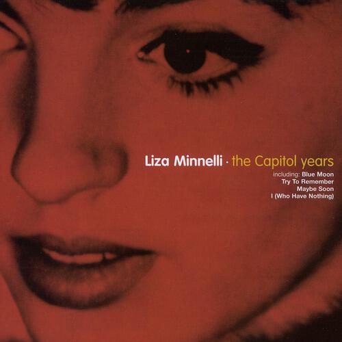Liza Minnelli - One Of Those Songs