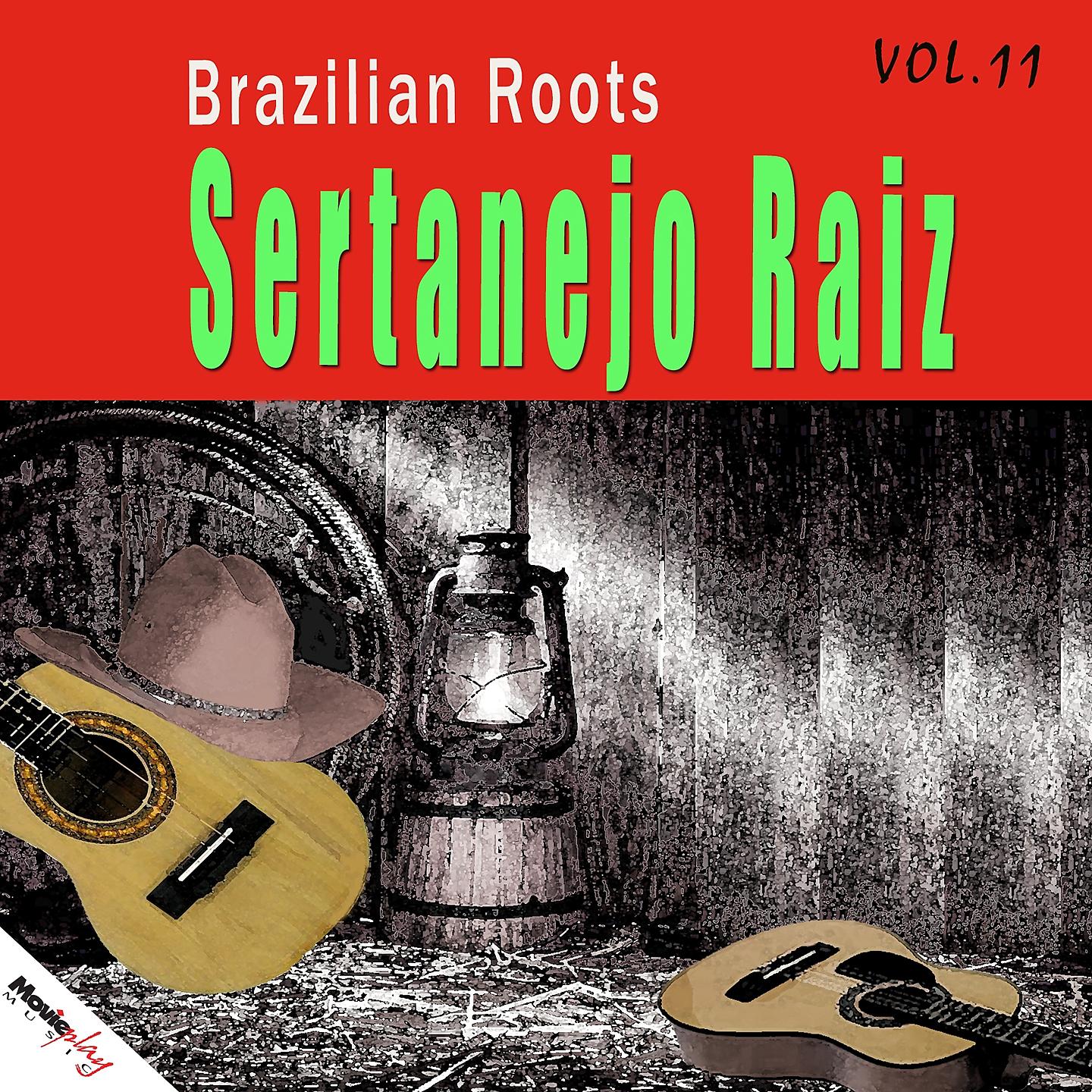 Постер альбома Sertanejo Raiz, Vol. 11