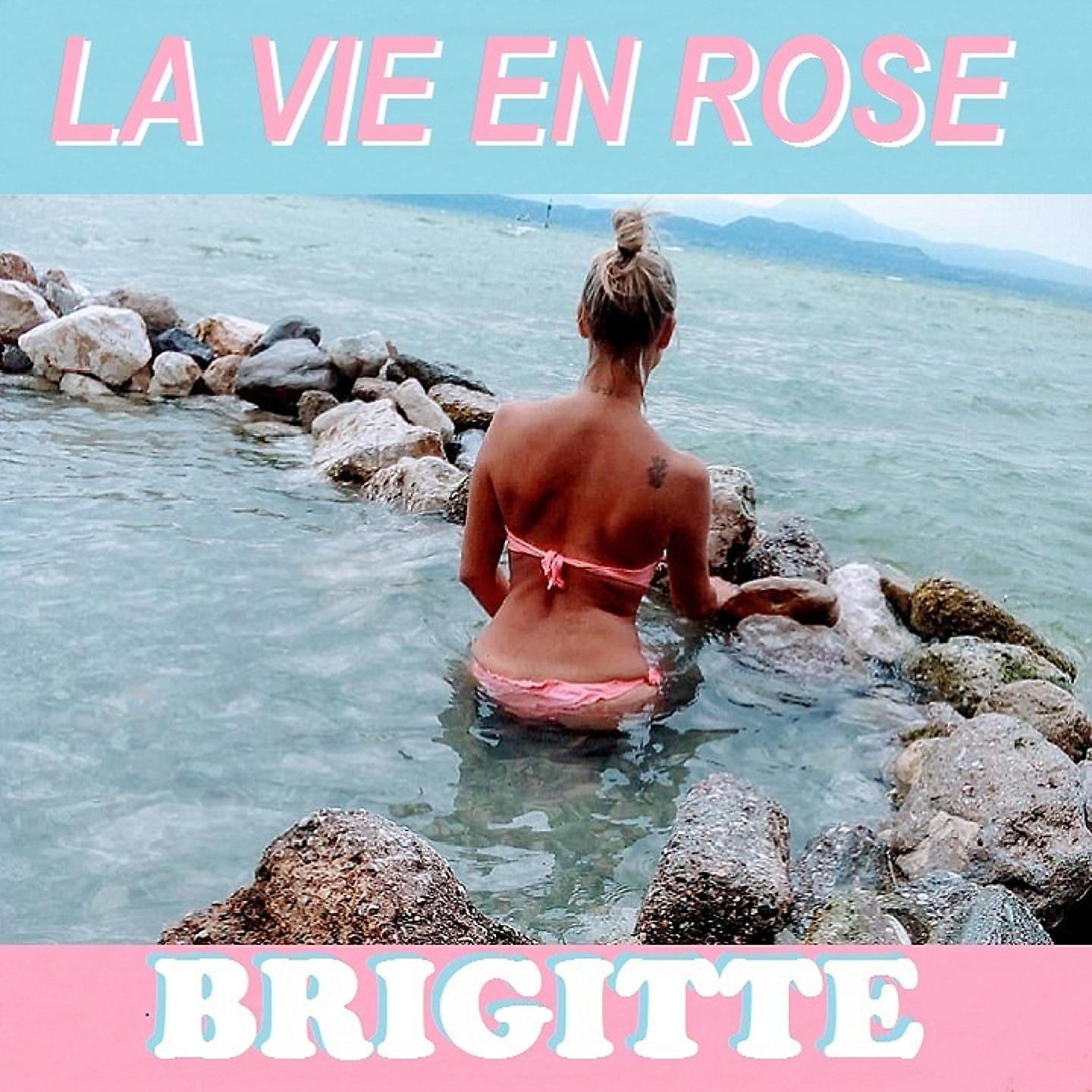 Постер альбома LA VIE EN ROSE