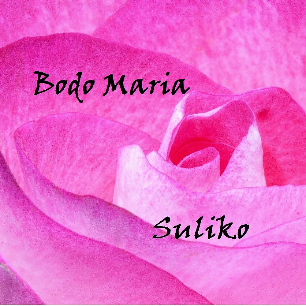 Постер альбома Suliko