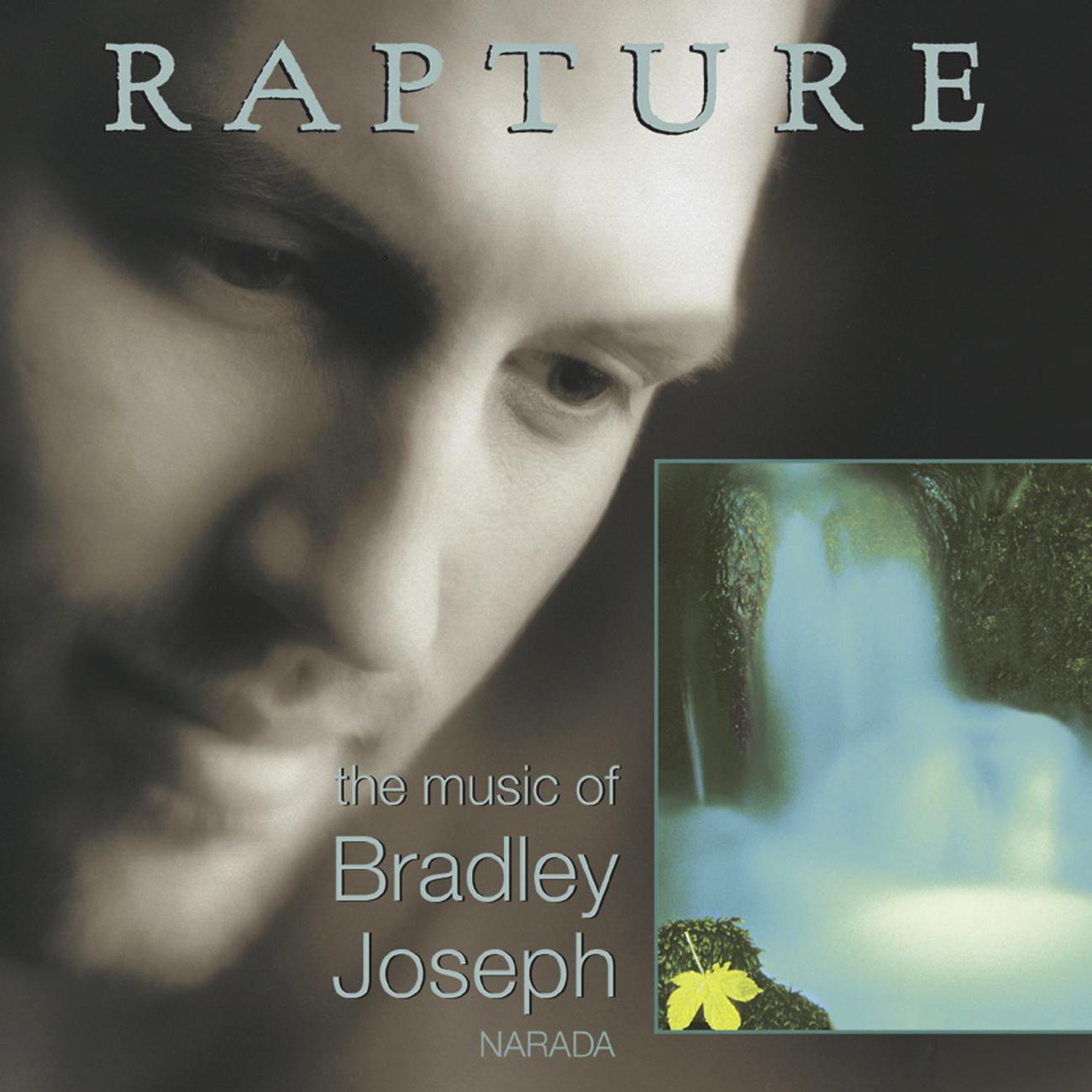 Постер альбома Rapture (The Music Of Bradley Joseph)