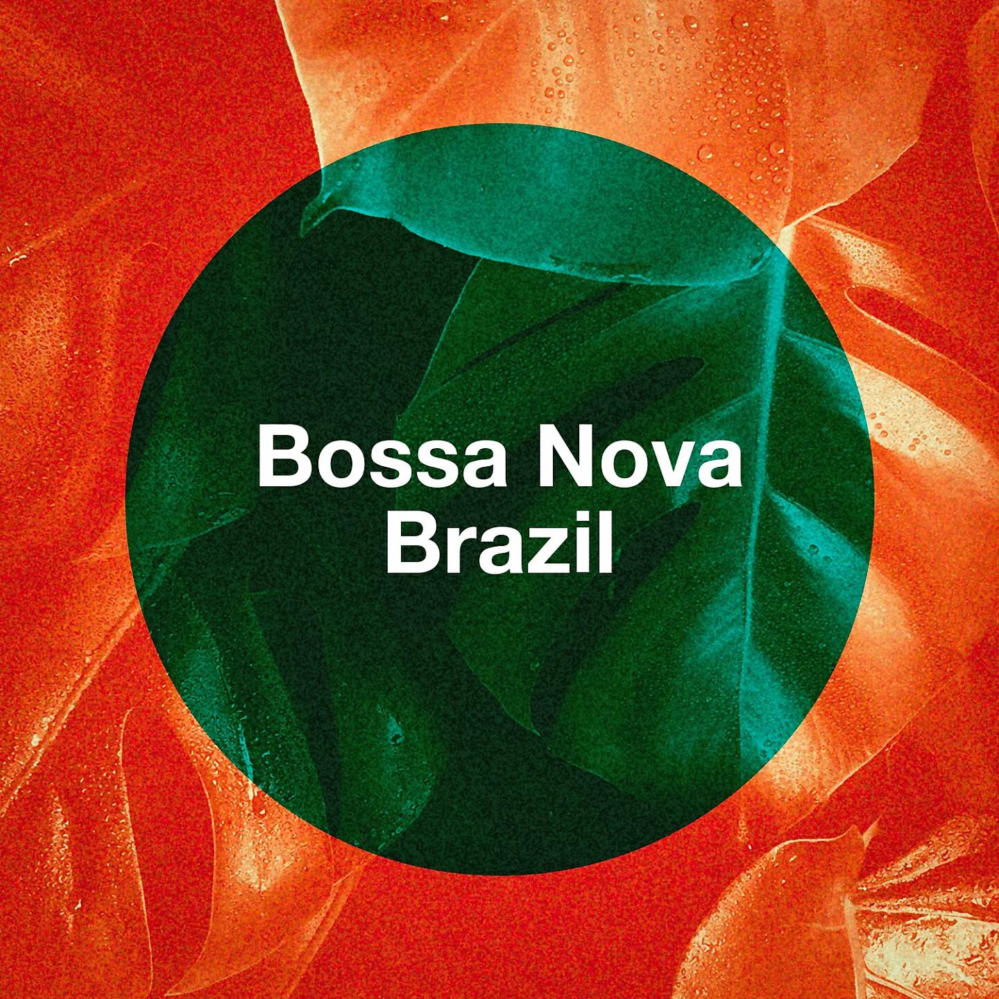 Raquel Silva Joly - Cais